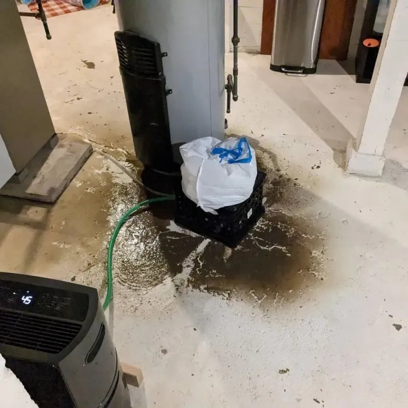 Sewage Backup Cleanup Service in Orchard Hills, PA